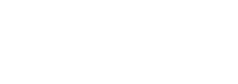 Need For Spin Logo